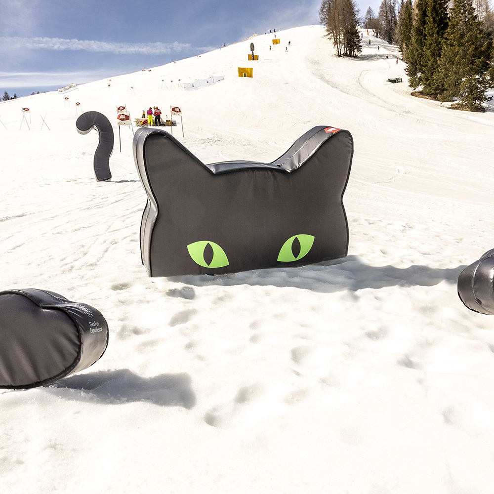 Progetto personalizzazione Mascotte Gigante - Alta Badia